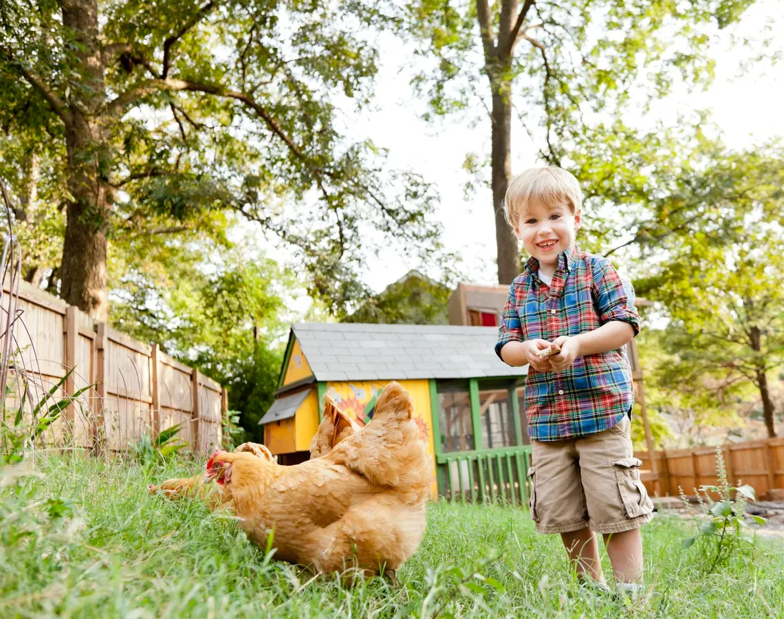 Grocery Cost Shocks: Could Your Backyard Provide All Your Protein?