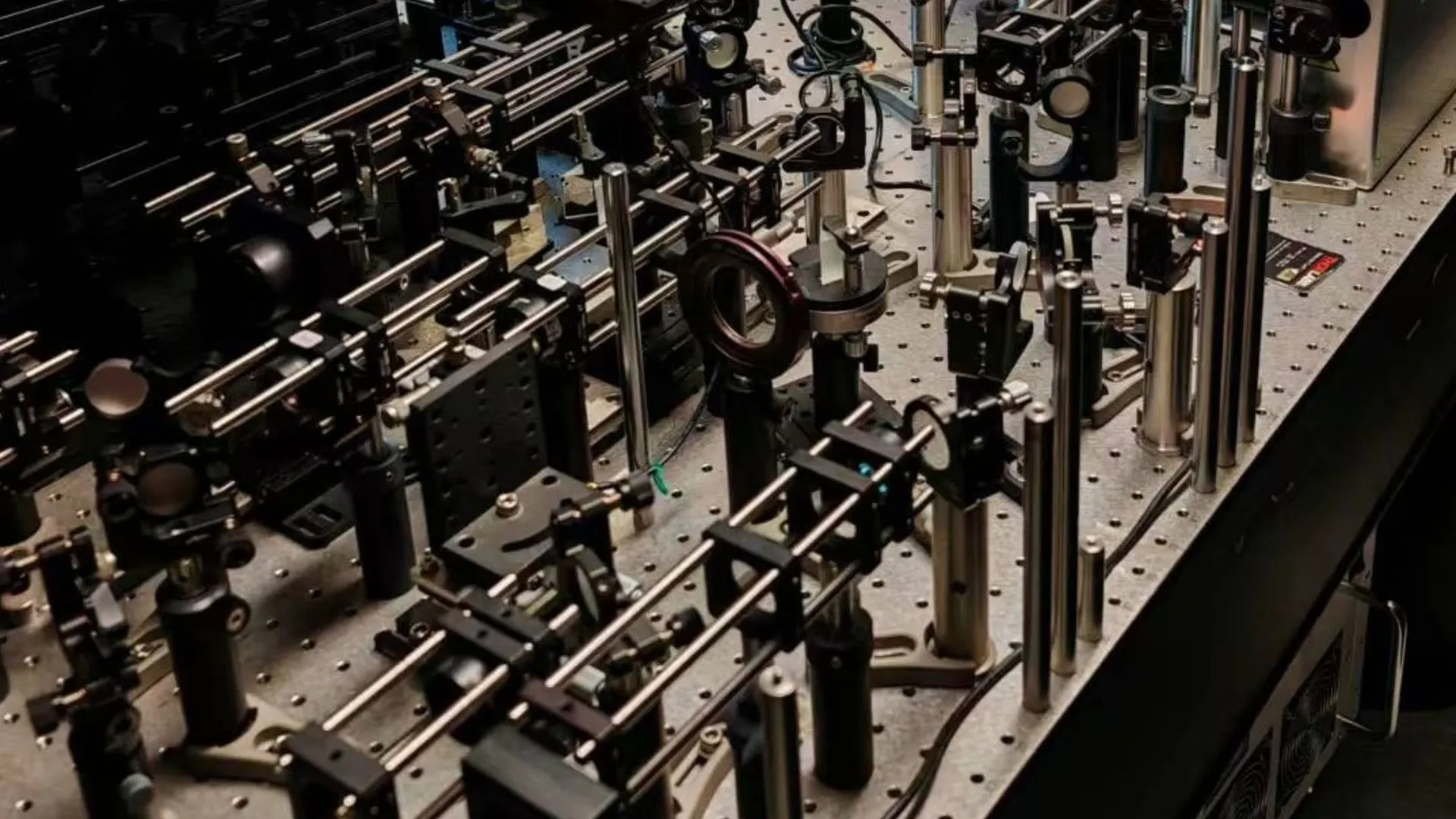 invasive imaging tech captures awake mouse brains