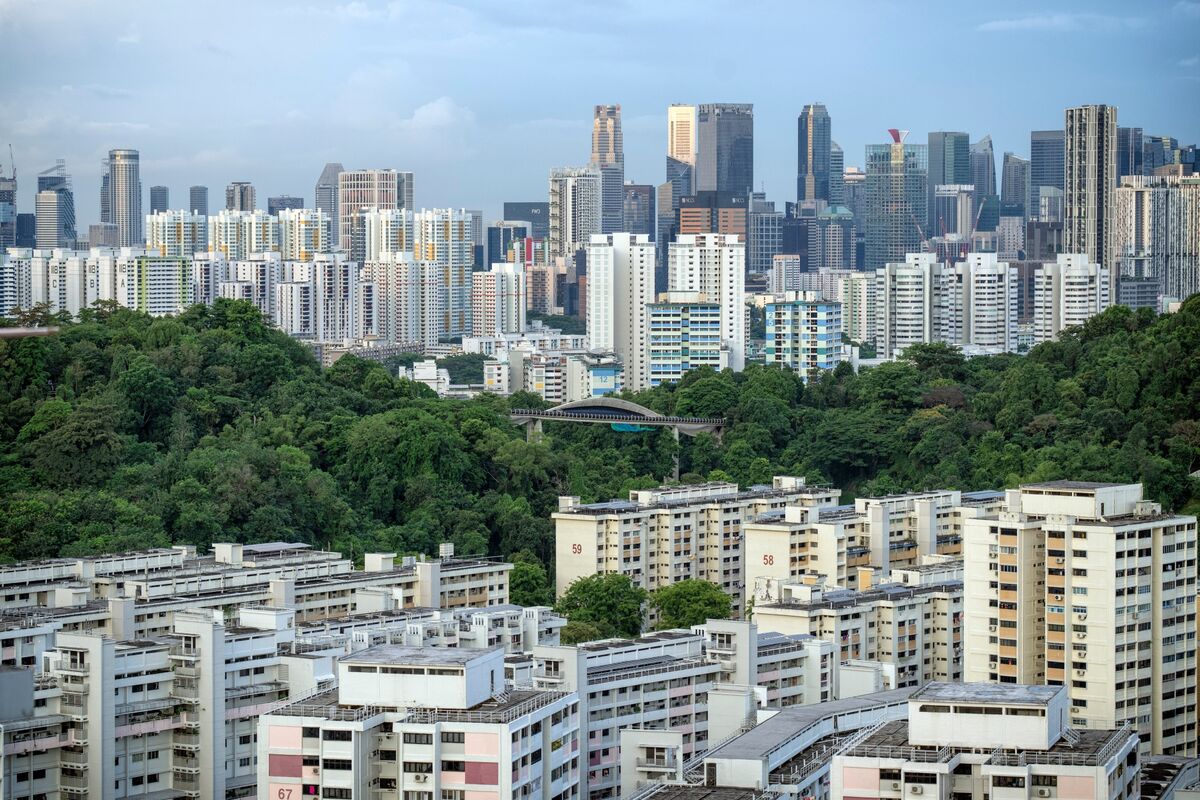 Owners of Foreign Worker Dorm Firm TS Group Said to Weigh Sale