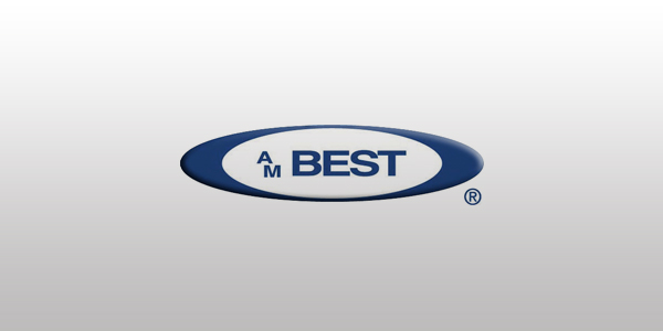 AM Best Comments On Palomar Credit Ratings