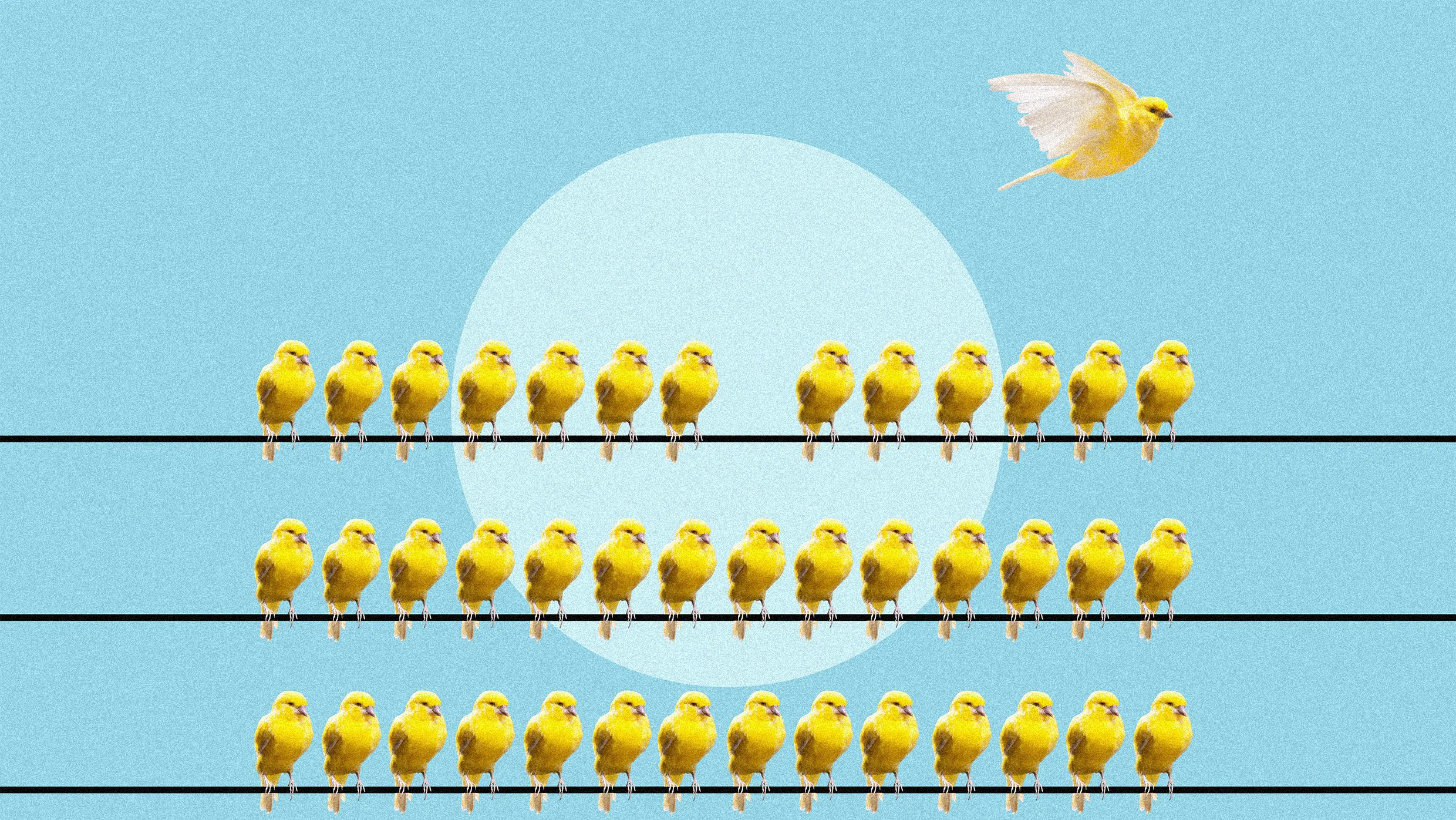 How courage can help you take bold action