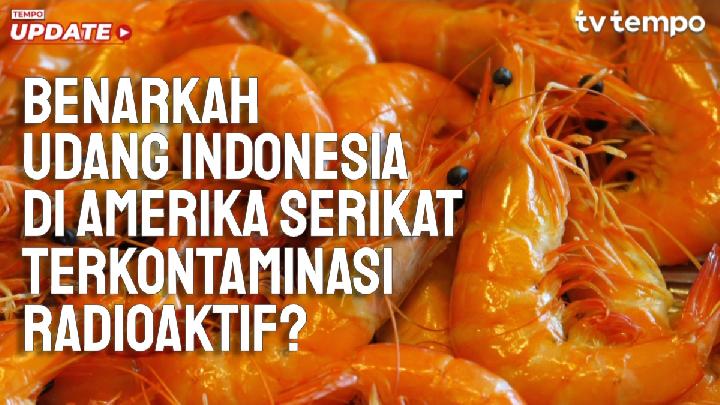 Indonesia Confident Shrimp Exports to Reach US$1.5bn in 2026 Despite Contamination Mishap