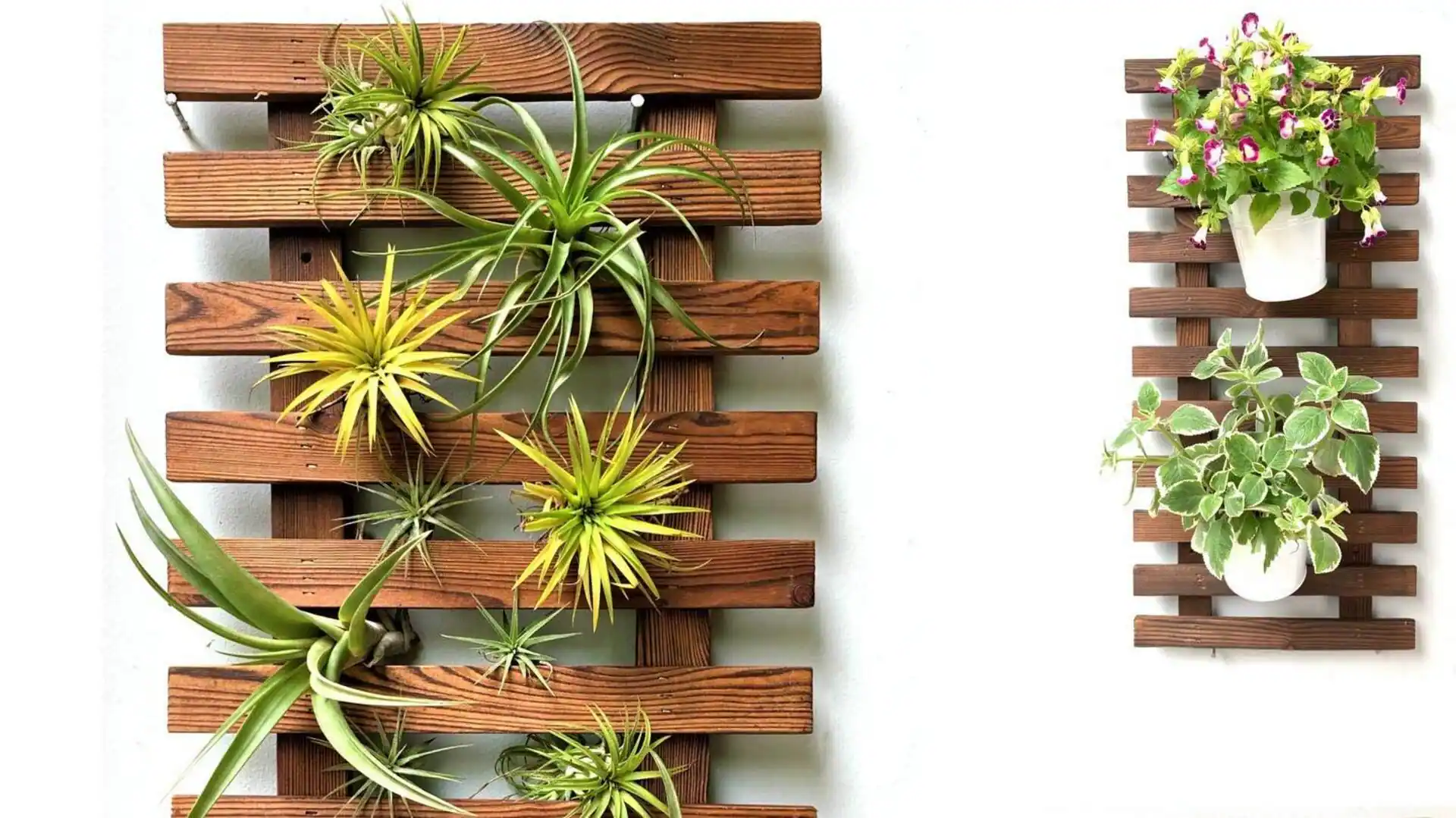 Vertical garden decor: 5 interesting ideas to go about it