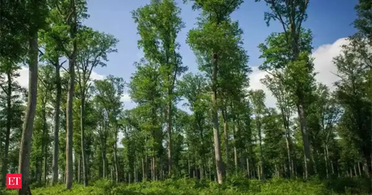 Unjust forest crimes: Tharu community faces false charges and legal battles in Uttar Pradesh