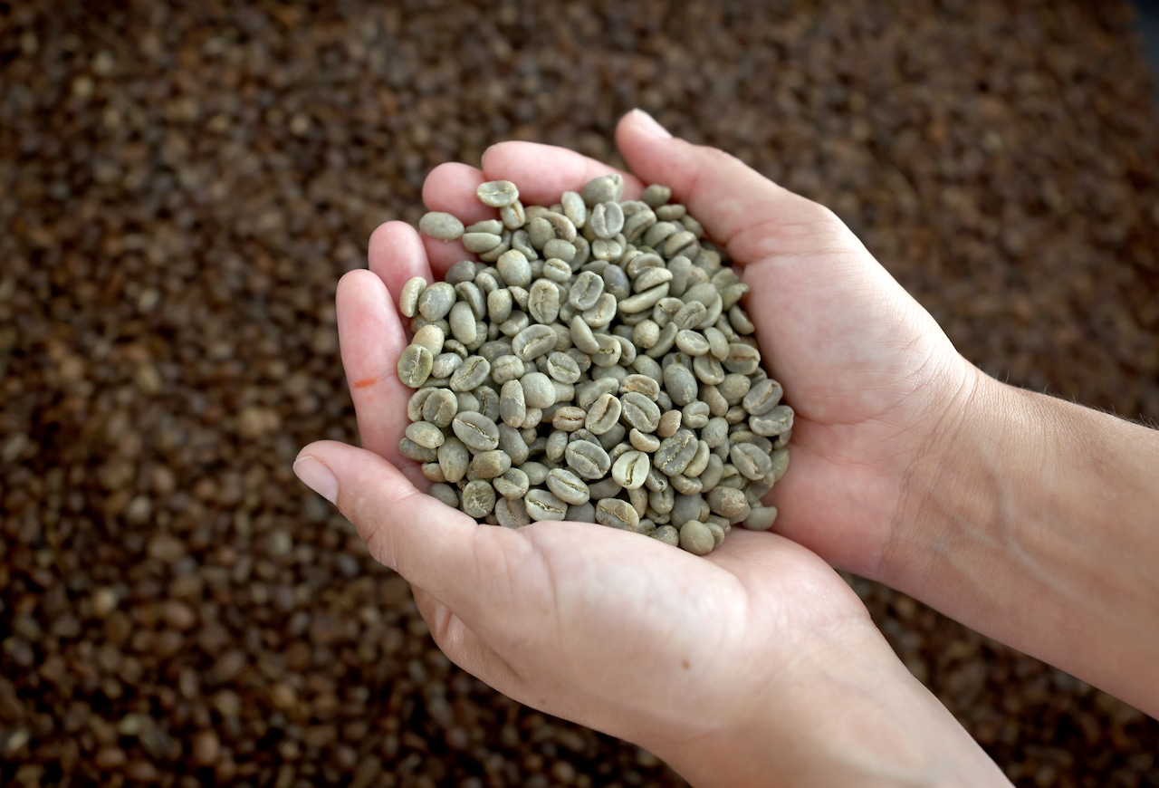 Florida-based coffee chain officially files for bankruptcy