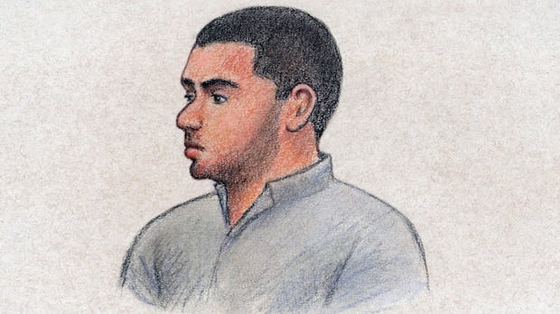 Man pleads guilty to 2024 stabbing attack that killed 6 inside Ottawa home