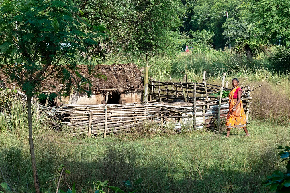 Forest rights act: A tale of bureaucratic intent and ground-level betrayal