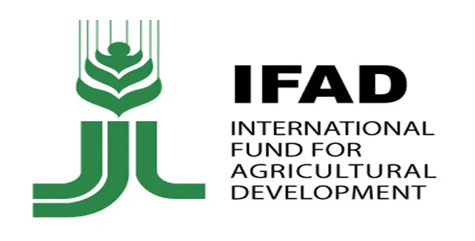 Nigeria Must Harness Youth Potential For Food Sovereignty — IFAD