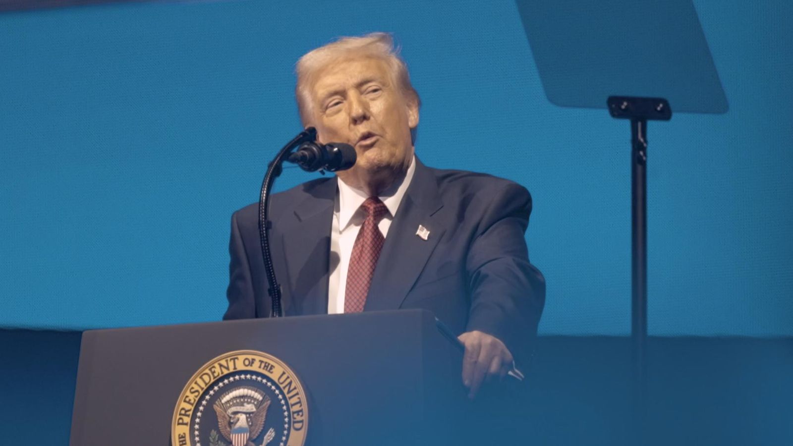 One year on from Donald Trump's election win, an untold story has emerged