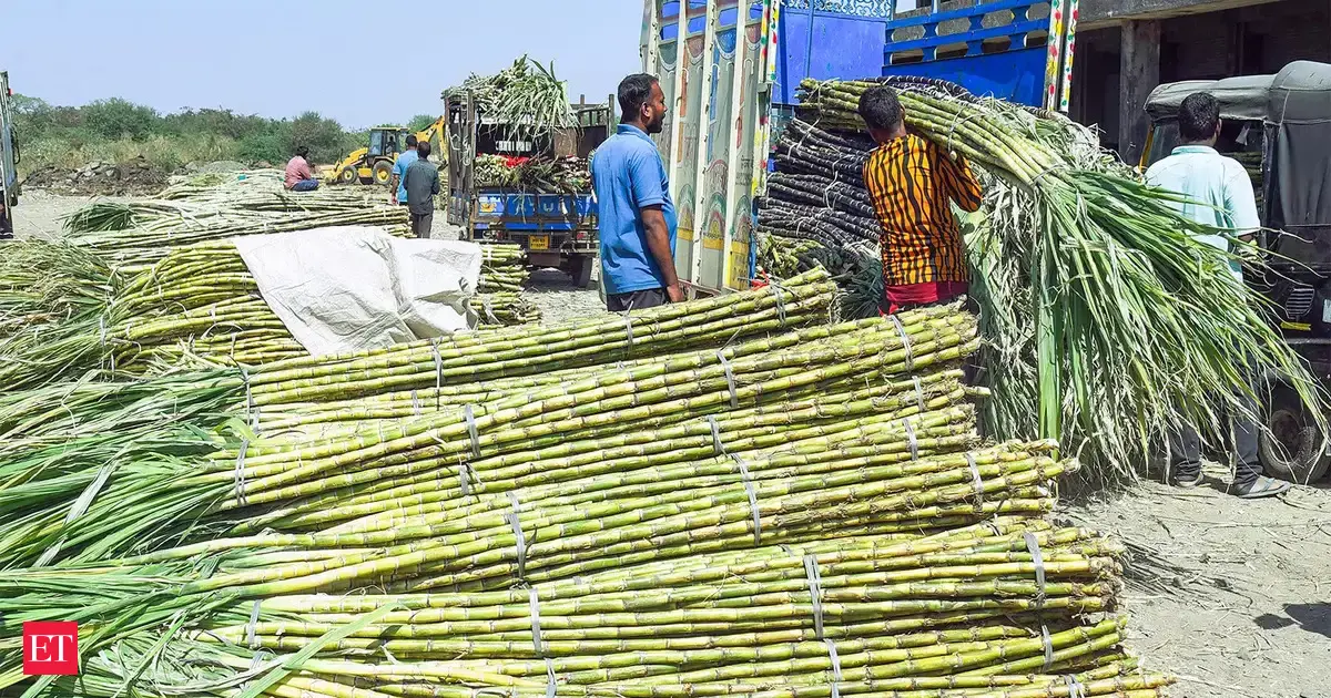 Karnataka: Rs 100 more per tonne for sugarcane growers as agitation engulfs 9 districts