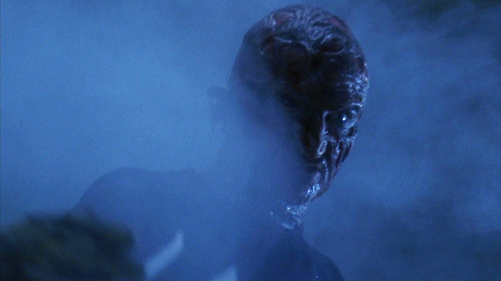 Wes Craven's Horror Classic Nightmare On Elm Street Has A Shocking Real World Inspiration