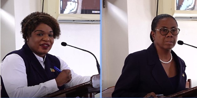 Opposition MPs Back NIA Bills to Strengthen Nevis’ Financial Sector