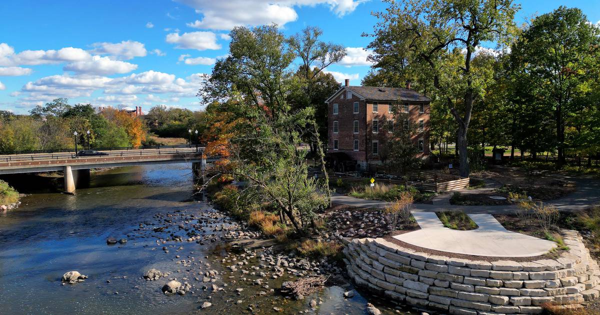 ‘It’s magnificent’: How a dam-free Salt Creek, Fullersburg Woods have been revitalized