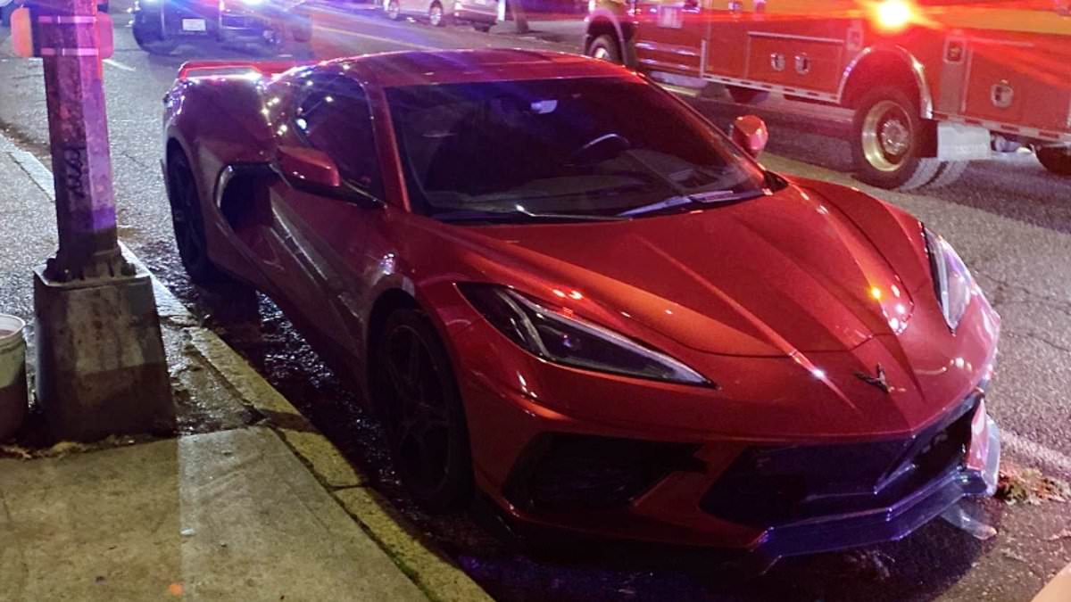 No-nonsense Seattle Corvette driver shoots two carjackers who tried to steal his wheels... before police detained HIM