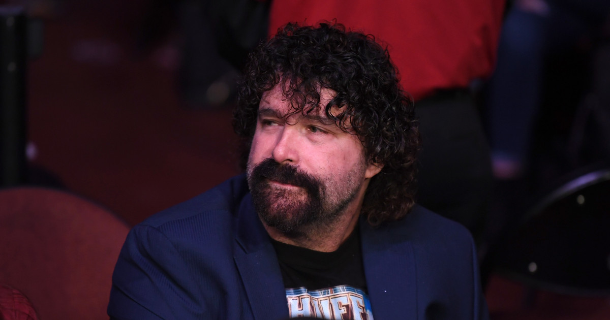 WWE Legend Mick Foley Removed This Body Part After Insane Hell in a Cell