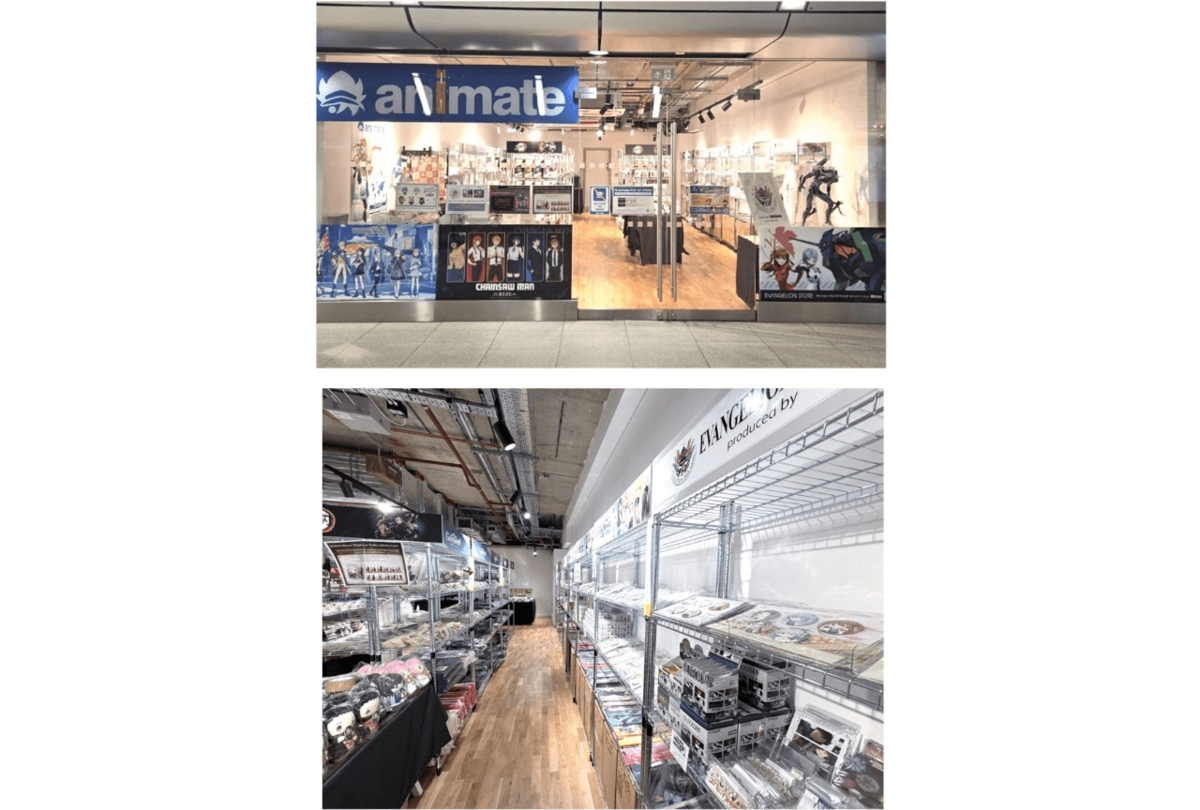 animate London POP UP Store is now open from October 31!