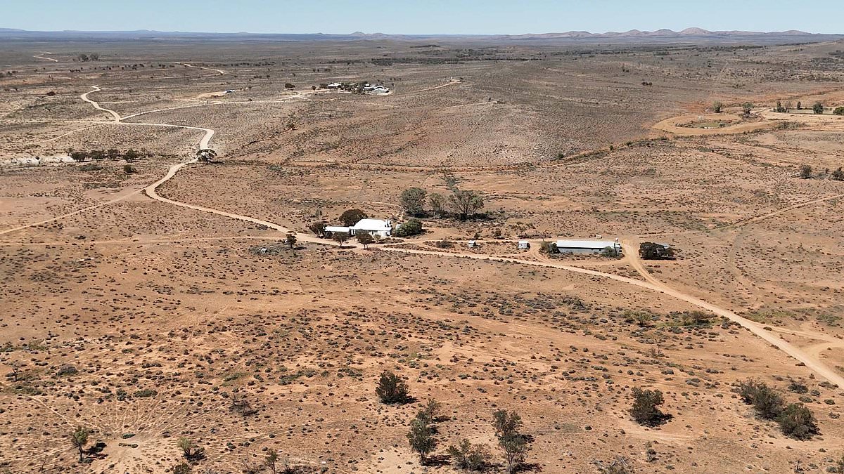 The one big mistake cops made in the hunt for little Gus Lamont is revealed by Australia's TOP private eye - as the search goes into its sixth week