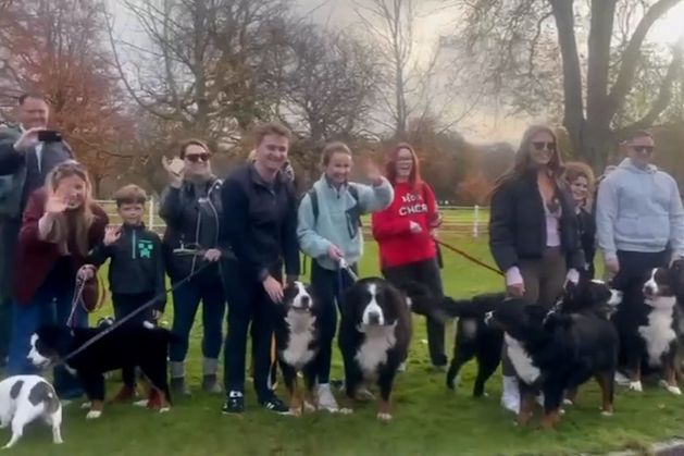 Bernese Mountain dogs and their owners gather outside Áras to bid farewell to Michael D Higgins on his final day as president