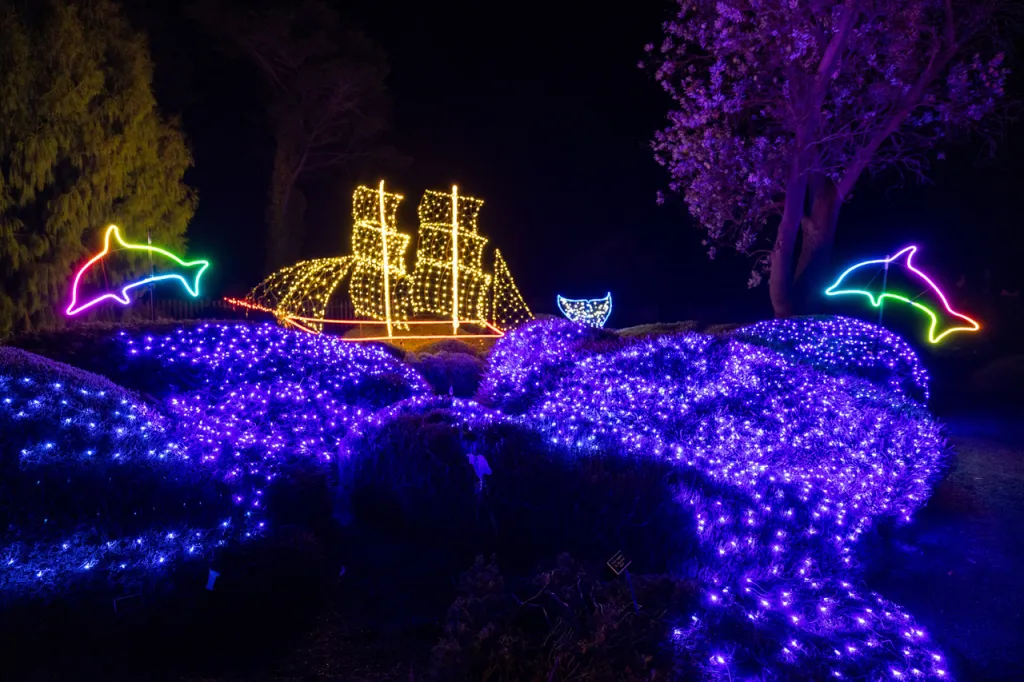 Celebrate the season at the Mendocino Coast Botanical Gardens’ 15th annual Festival of Lights, a cherished holiday fundraiser supporting horticulture, conservation, education, and community programs.