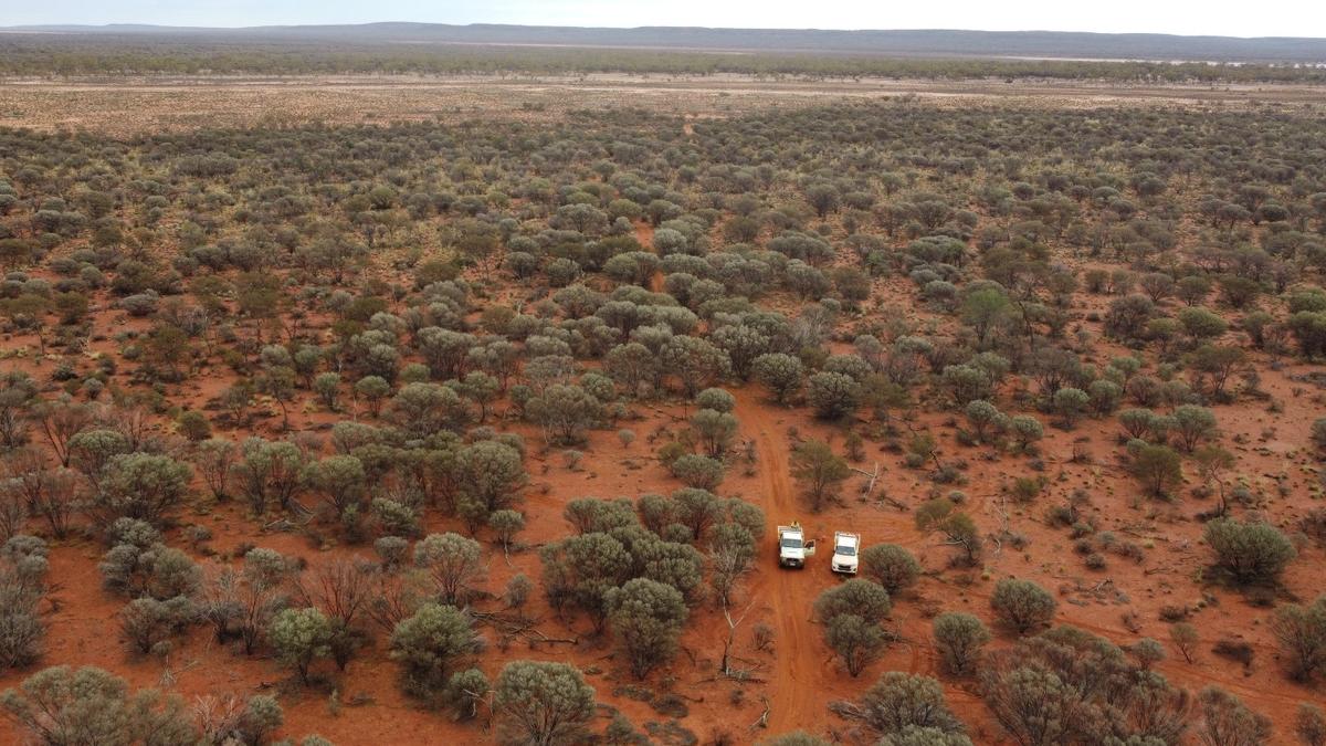 Gateway to fly big airborne geophysical survey in new WA gold hunt