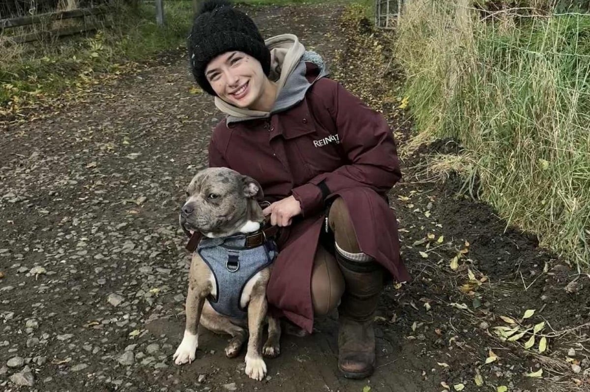 Council reveals financial breakdown of the legal and kennelling costs of Max the dog