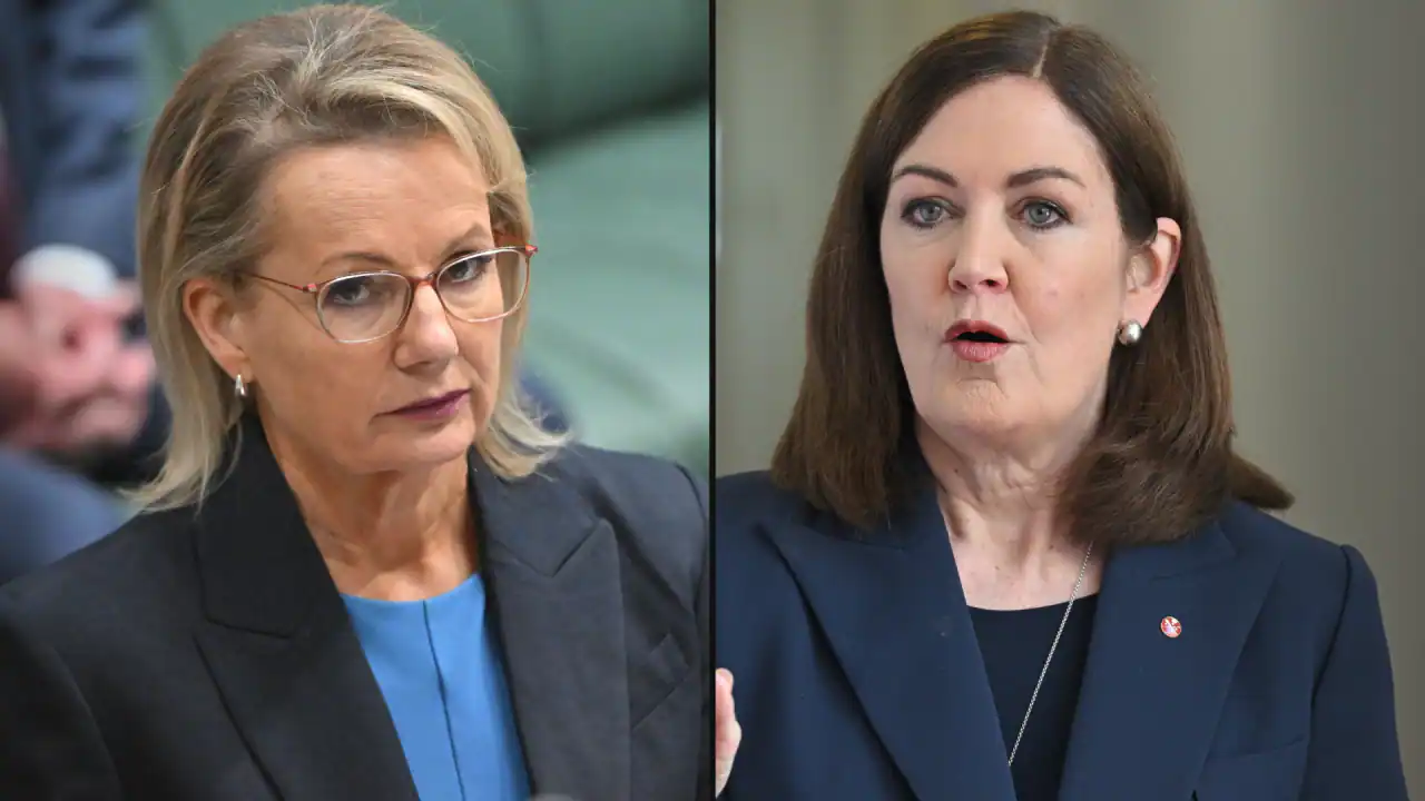 'Ask her': Sussan Ley fires back over colleague's criticism of her leadership