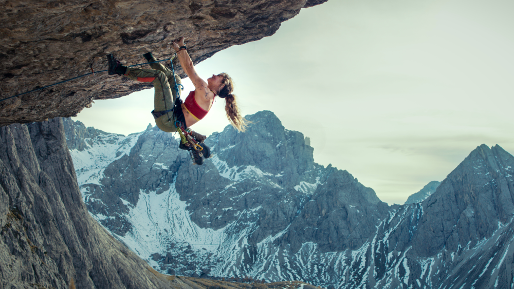 New Distributors Like Black Bear and Row K Grab Films With A-Listers