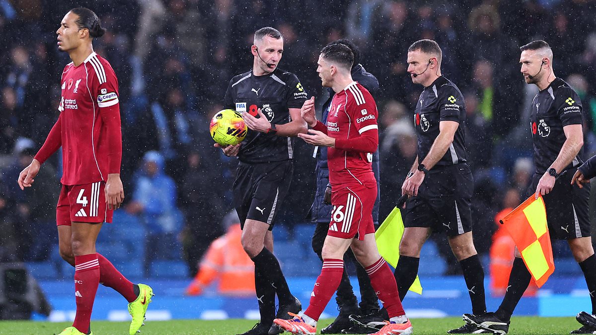Liverpool's complaint to referee chiefs over Virgil van Dijk's disallowed 'duck' goal is ridiculous and self-defeating - but this is how our big clubs act now, writes IAN LADYMAN