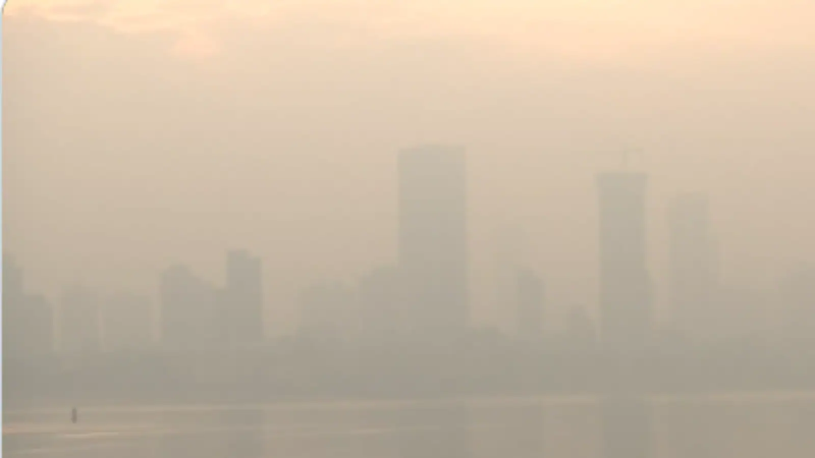 How Air Pollution Damages Your Lungs And How Homeopathy Can Help Restore Them