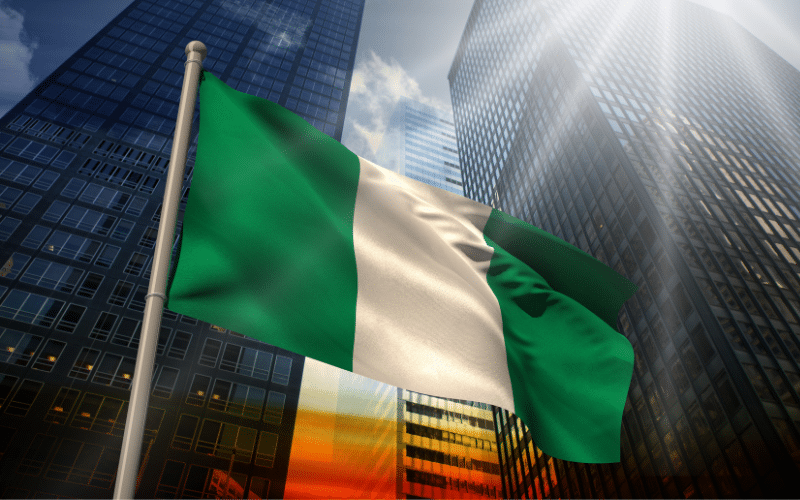 Nigeria And  The Ghost Of Structural Adjustment Programme