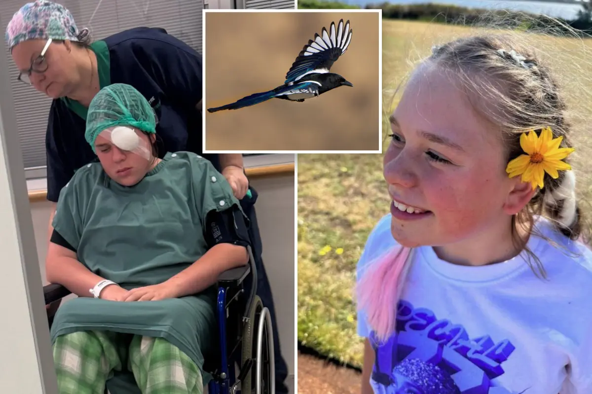 Magpie attack leaves girl, 12, fighting to save her sight