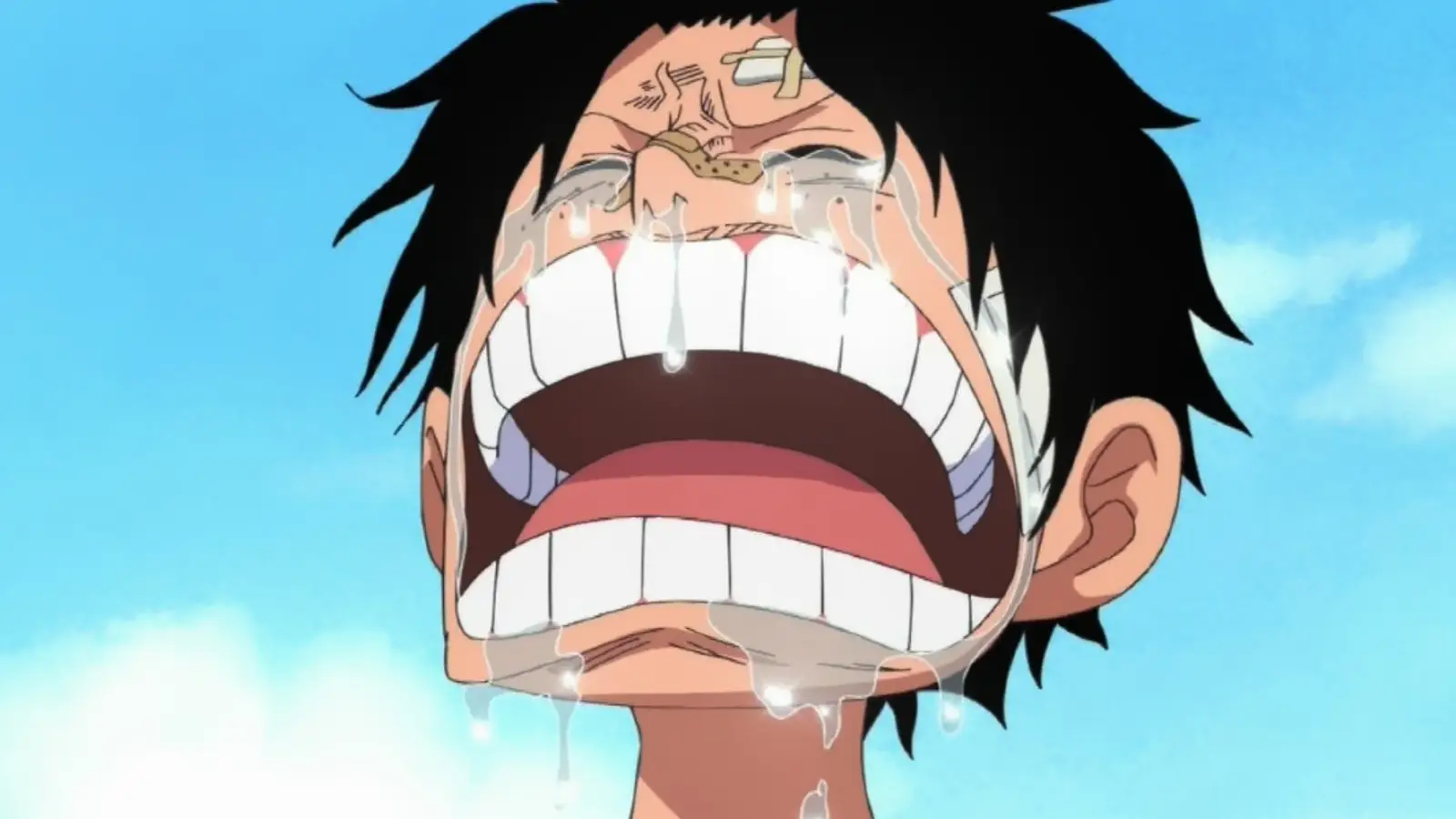 One Piece Anime Confirms Delay for November 2025