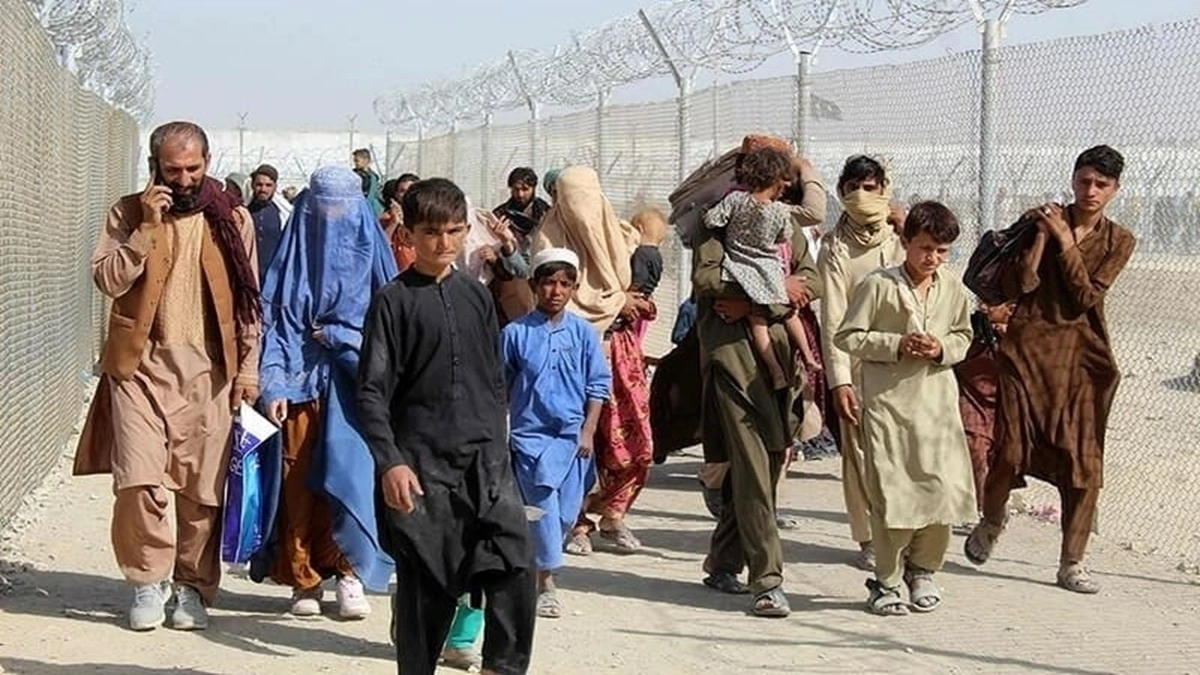 Afghan Refugees Deportations: Helpless Refugees In Pakistan Raise Alarm Over Escalating Challenges and Growing Fear Amid Ongoing Crackdown