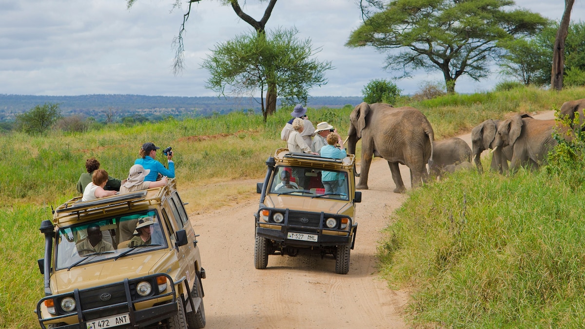 9 ways to experience classic Tanzania