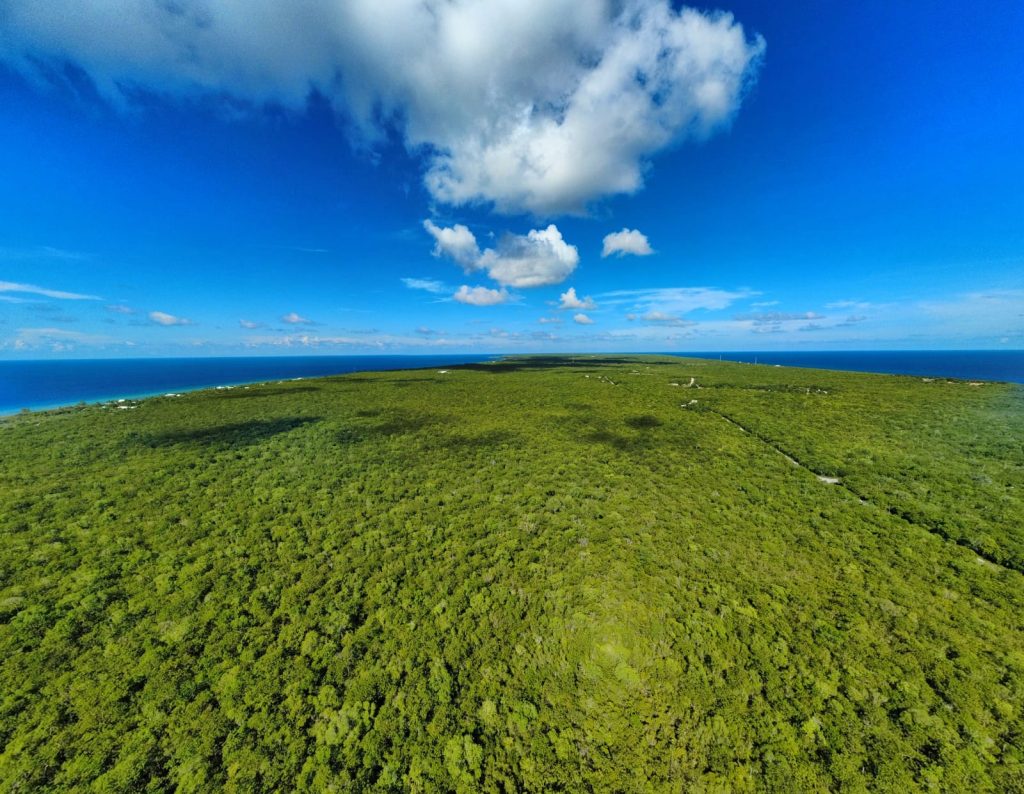 Brac’s Hemmington Forest could become Cayman’s first national park