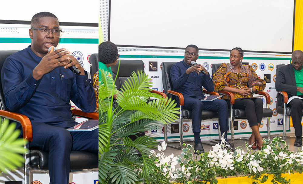 Dr. Gideon Boako calls for national geological survey to curb illegal mining