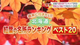 Top Autumn Foliage Spots in Hokkaido