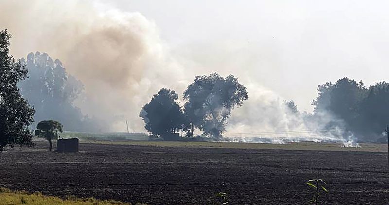 Farm fires down 56% in Amritsar this year - The Tribune