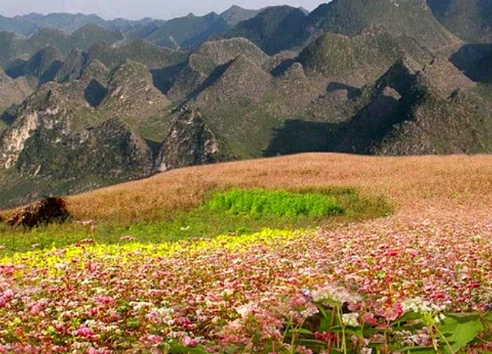 Việt Nam có thêm điểm được vinh danh “lý tưởng nhất châu Á”: Cách Hà Nội 300km, báo quốc tế khen ngợi