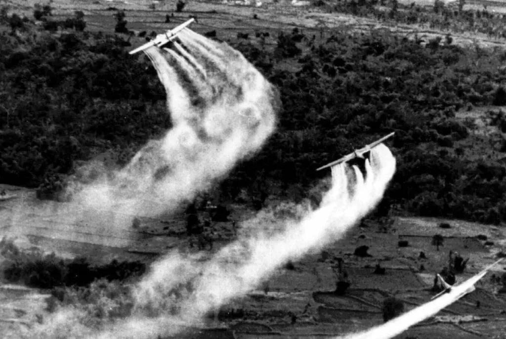 For many veterans, the battles never end