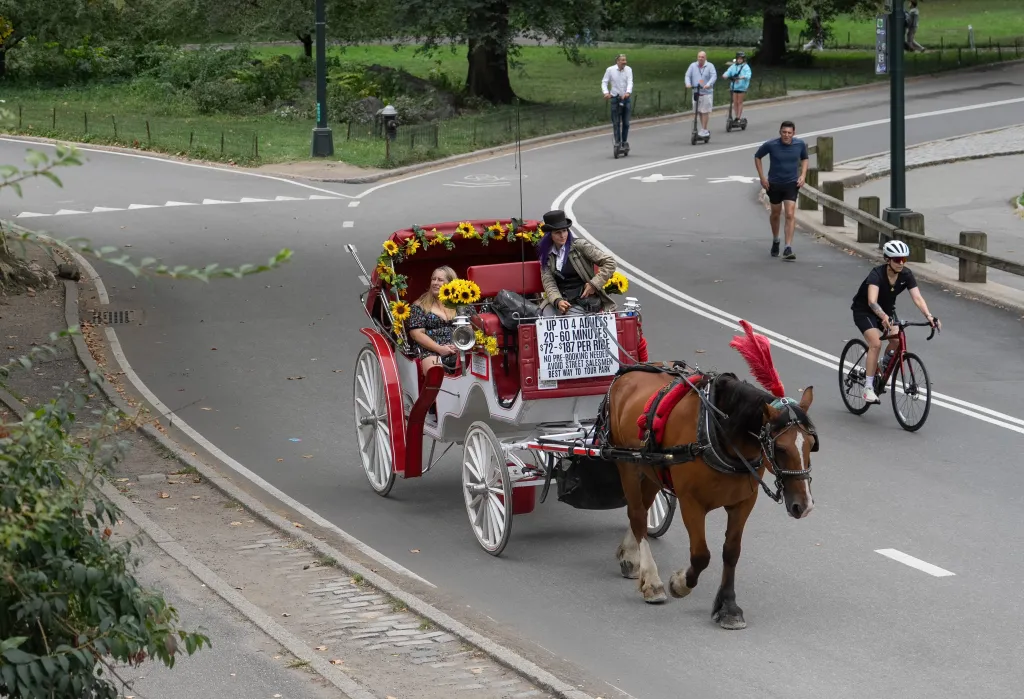 Transport Workers Union sues group trying to ban Central Park carriage horses