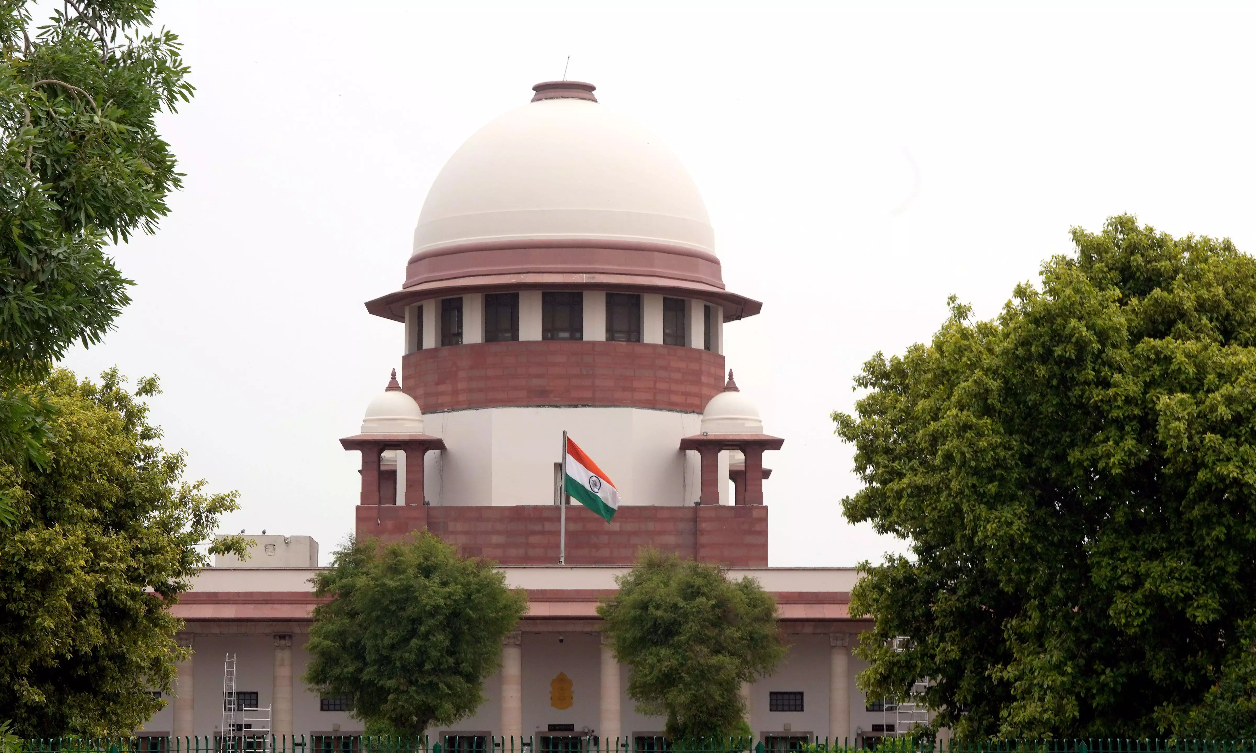 Stray Dogs Case: SC Denies Exemption to Bihar Chief Secretary from Appearing on Nov 3