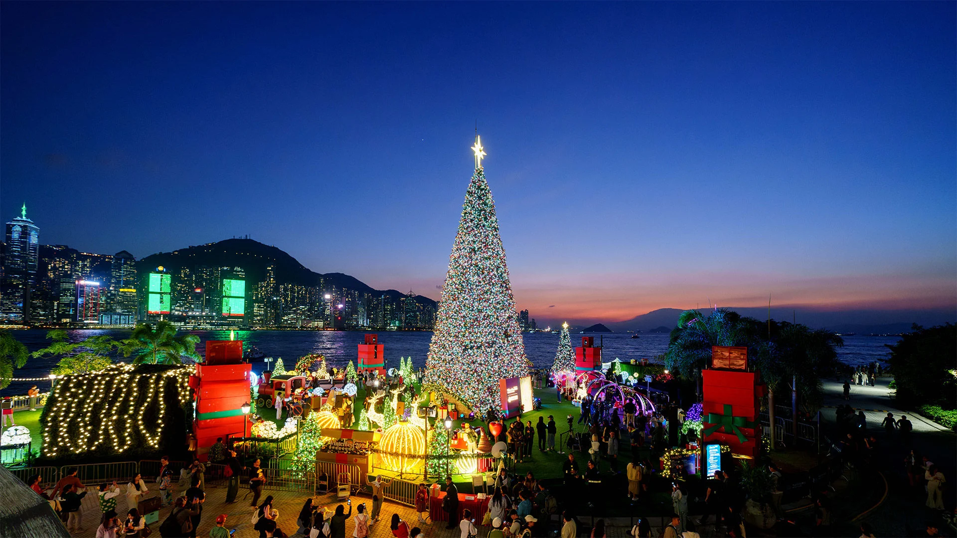 20-metre Christmas tree and new light show to bring festive cheer to Hong Kong