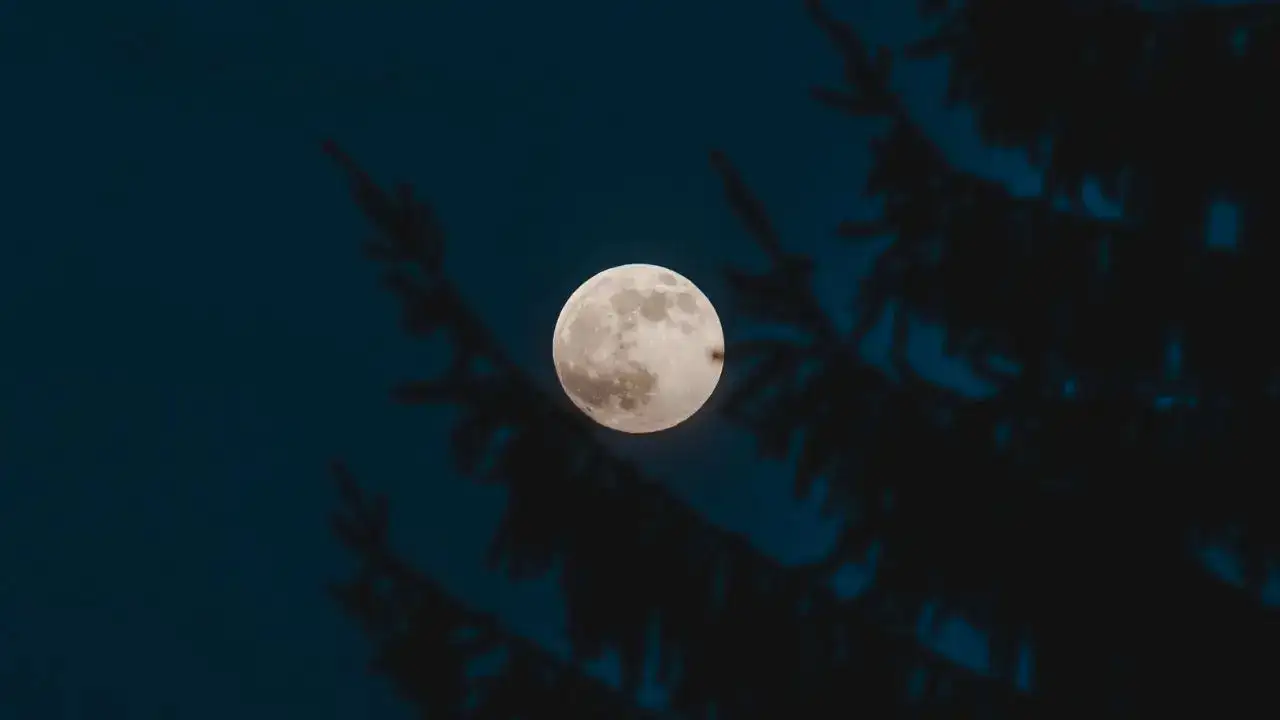 When Is Kartik Purnima 2025? Check the Date, Auspicious Timings and Meaning of This Sacred Festival