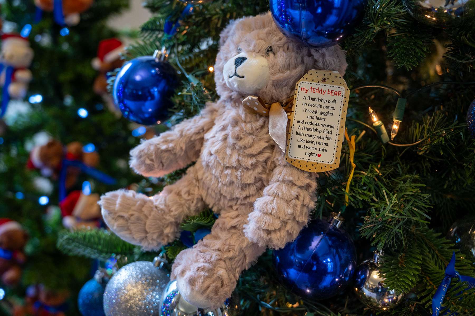 KGH Auxiliary's 2025 Teddy Bear Campaign to raise money for pediatric ultrasound machine