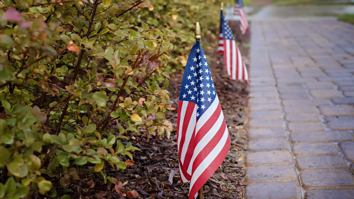 School, mail, DMVs: What’s open and closed for Veterans Day Tuesday