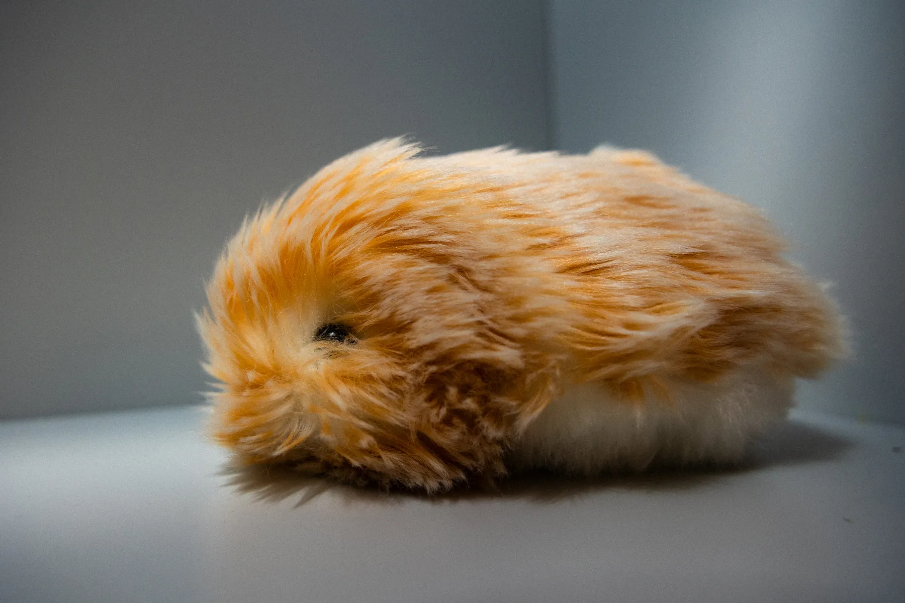 My AI Pet Didn’t Kill Me. But He’s Definitely a Sign of Our Bleak Reality