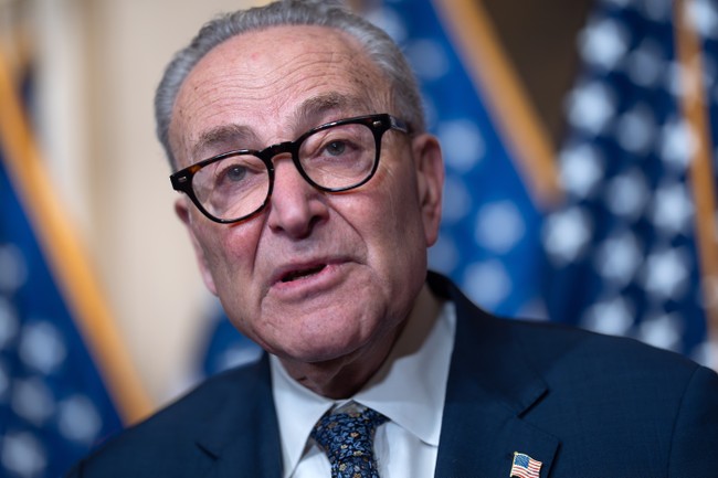 MoveOn.Org Demands Schumer’s Scalp: Welcome to the Dawn of the Democratic Putsch