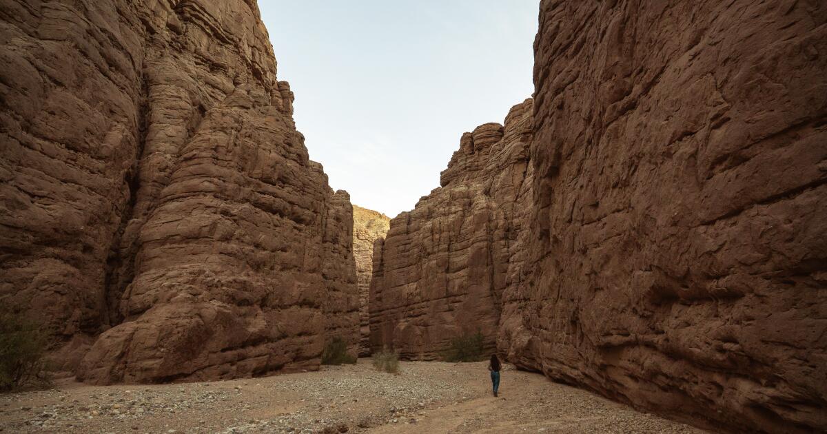 An intertribal commission will co-manage Chuckwalla National Monument