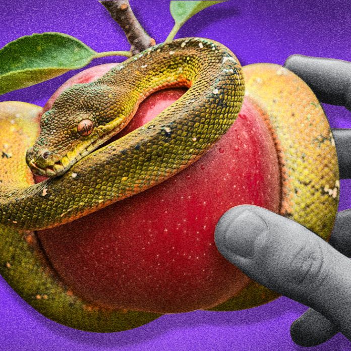 Apples falling far from the tree